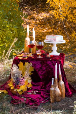 Parkta güzel bir sonbahar pikniği.