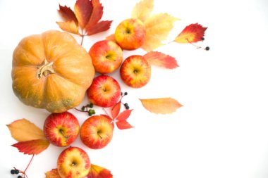 Renkli sonbahar yaprakları ve beyaz arka planda hediye kutusu olan düz bir çerçeve.