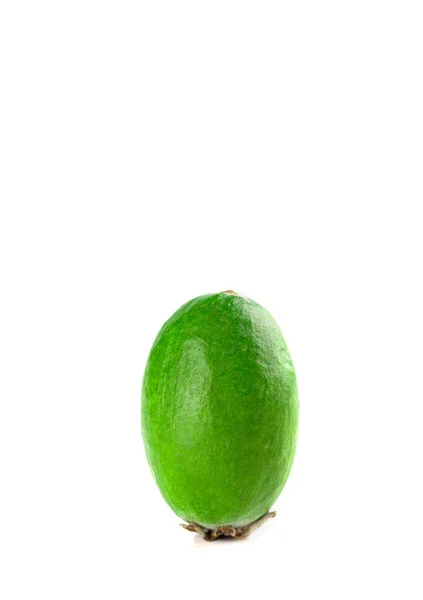 Juicy and ripe feijoa isolated on a white background. Healthy autumn fruit. — Stock Photo, Image
