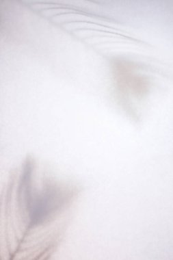 Fotoğraf için kaplamanın etkisi. Palmiye yaprağının gölgesi. Arka planda soyut doğa kavramı.