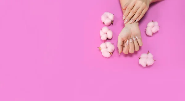 Vacker dammanikyr i delikata toner, på en ljus bakgrund med mjukt rosa bomull. Plats för påskriften. — Stockfoto