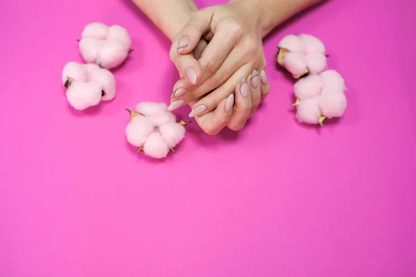 Mooie vrouwen manicure in delicate tinten, op een heldere achtergrond met zacht roze katoen. — Stockfoto