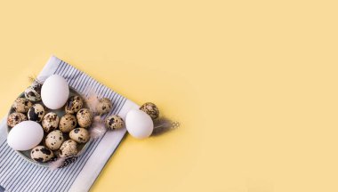 Farklı boyutlarda taze yumurtalar ve açık sarı arka planda tüyler..