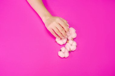 Zarif tonlarda güzel kadınların manikürü, parlak bir arka planda, yumuşak pembe pamuklu.
