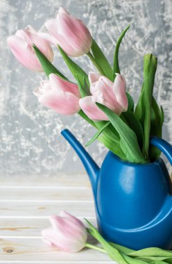 Açık arkaplanda güzel pembe laleler. Tatil içeriği.