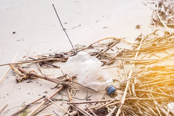 Plastic Bottle Garbage Shore Lake Contagious Nature Zero Waste — Stock Photo, Image