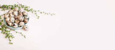 Arka planda yeşil bitki dalları olan bıldırcın yumurtaları. Tatil içeriği, metin için bir yer