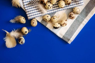 Siyah arka planda güzel tüyleri olan bıldırcın yumurtaları. Metin için bir yer.