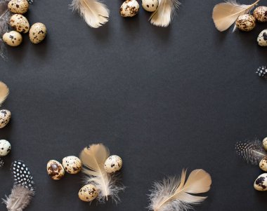 Bıldırcın yumurtası ve tüyü çerçevesi. Metin için yer, Paskalya içeriği