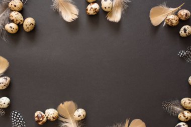 Bıldırcın yumurtası ve tüyü çerçevesi. Metin için yer, Paskalya içeriği