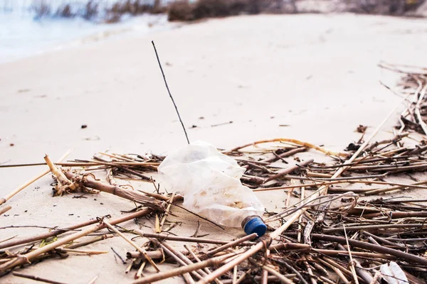 Plastic Bottle Garbage Shore Lake Contagious Nature Zero Waste — Stock Photo, Image