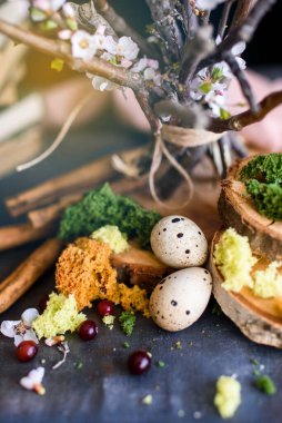 Bıldırcın yumurtalarından, çiçeklerden, dallardan, yosunlardan oluşan güzel bir kompozisyon. Eğlenceli kompozisyon, Paskalya içeriği