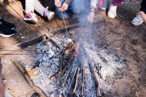 Hoguera Picnic Malvaviscos Palos Junto Fuego — Foto de Stock