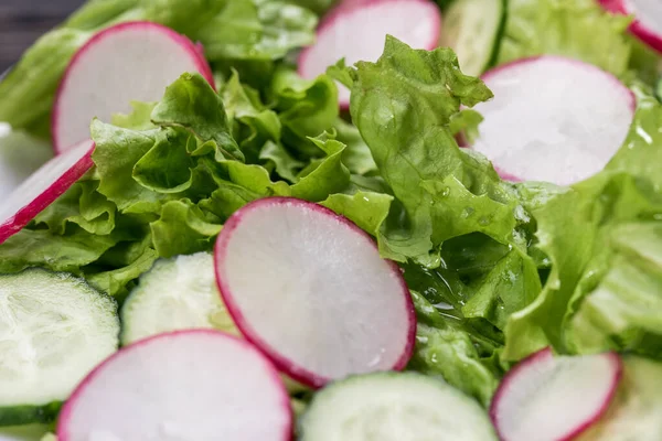 Färsk Och Läcker Sallad Med Sallad Rädisa Gurka Och Olivolja — Stockfoto