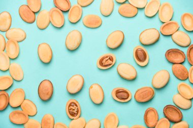 Yoğunlaştırılmış sütlü ev yapımı fındık, içinde çikolata, ceviz ve badem. Açık mavi arka planda fındıklar. Mesajlaşmak için bir yer. Düz yatıyordu