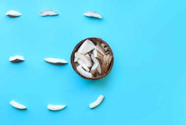 Taze hindistan cevizi mavi arka planda, küçük akosoz parçalarıyla birlikte duruyor. Hindistan cevizi talaşı. Yukarıdan görüntüle.