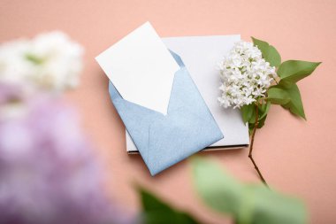 Metin için beyaz çarşaf ve leylak filizi olan mavi zarf. hafif bir arka planda. Hediye kutusu. Yukarıdan görüntüle