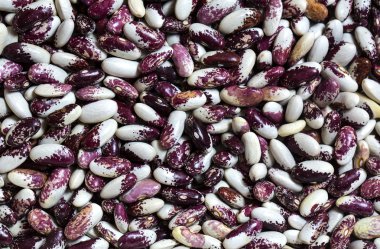 arka plan fasulye tohumları