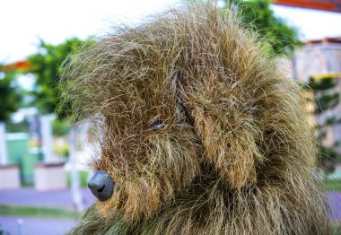 Heykeller hayvanlar böcek ve bitkiler ve otlar yapılan insanlar.