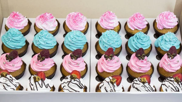 Cupcakes com creme — Fotografia de Stock