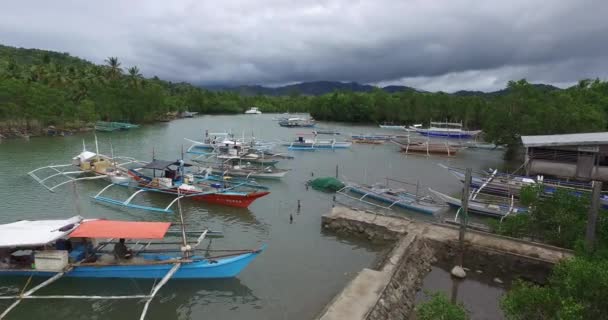필리핀의 지역의 — 비디오