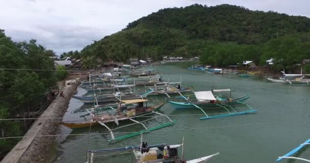 Paisaje Las Islas Zona Costera Isla Palawan Filipinas — Vídeo de stock