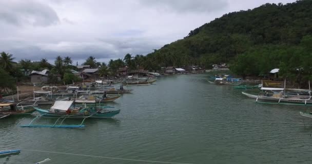 Paisaje Las Islas Zona Costera Isla Palawan Filipinas — Vídeo de stock