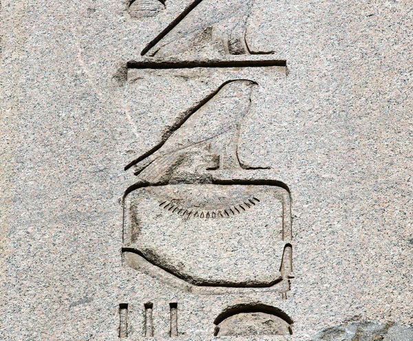 Egyptiska hieroglyfer på gamla — Stockfoto