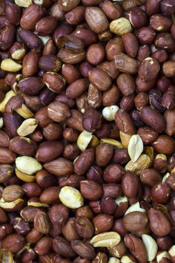 Arka plan fındık fıstık 