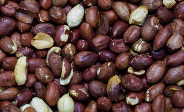 Arka plan fındık fıstık 