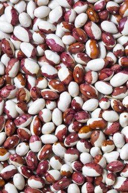 arka plan ham fasulye 