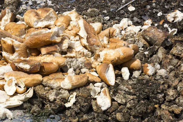 Trozos de pan baguette tirados a la basura —  Fotos de Stock