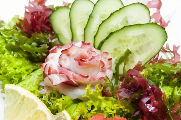 Japanese cuisine sashimi with vegetables and fish — Stock Photo, Image