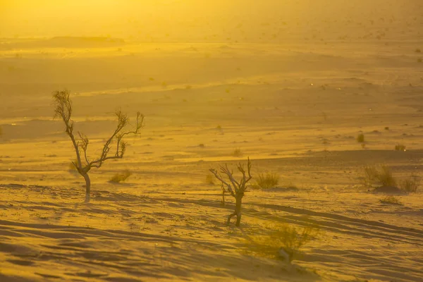 Wadi Rum Desert — Stock Photo, Image
