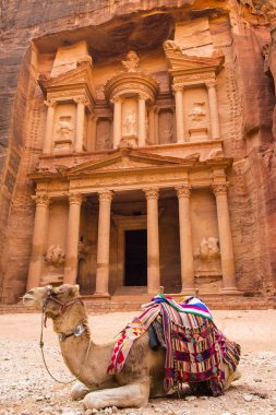 Antik kaya şehir Petra'dan terk