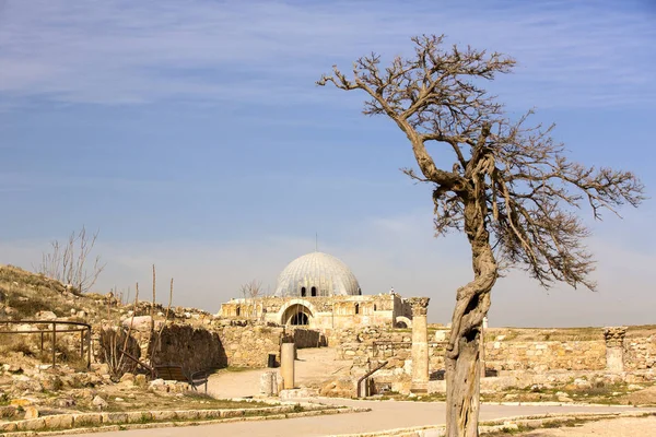 Ruiny starożytnej cytadeli w mieście Amman — Zdjęcie stockowe