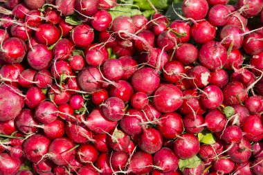 Olgun turp arka plan