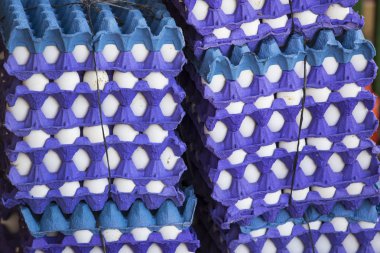 Arka Tepsi ile yumurta