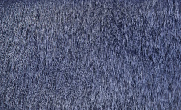 Hintergrundfarbe des Pelzes von Wildtieren — Stockfoto