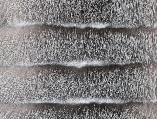 野生動物の毛皮の背景色 — ストック写真