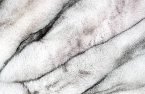 Χρώμα φόντου της γούνας από άγρια ζώα — Φωτογραφία Αρχείου