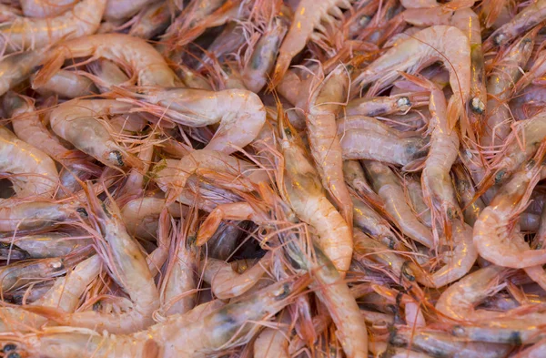 Background of small shrimps — Stock Photo, Image
