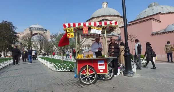 Πλατεία Sultanahmet ένα μέρος για τους τουρίστες να επισκεφθούν στην Κωνσταντινούπολη — Αρχείο Βίντεο