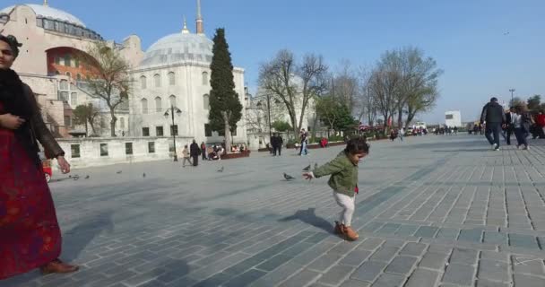 Sultanahmet Square et sted for turister at besøge i Istanbul – Stock-video