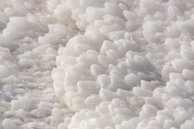 Dead Sea salt taşlar 