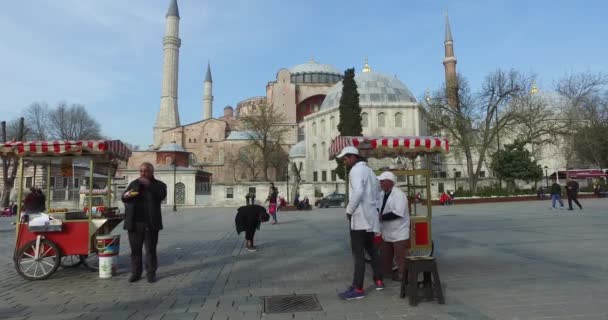 Torget Sultanahmet en plats för turister att besöka i Istanbul — Stockvideo