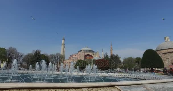 Plaza Sultanahmet un lugar para los turistas a visitar en Estambul — Vídeos de Stock