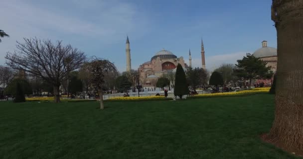 Sultanahmet Square a place for tourists to visit in Istanbul — Stock Video