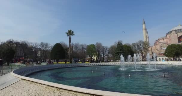 Sultanahmet Square a place for tourists to visit in Istanbul — Stock Video