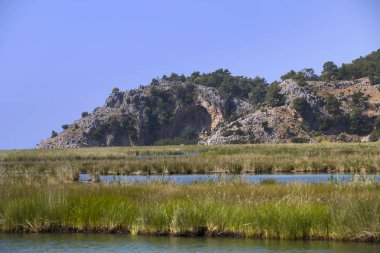 Dalyan nehir nehir Boğazı turist tekneleri ile